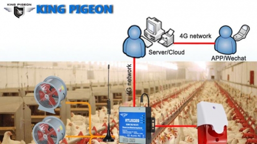 4G Power Status Monitoring Alarm Used in Chicken Farm -  Industrial IoT Case Study