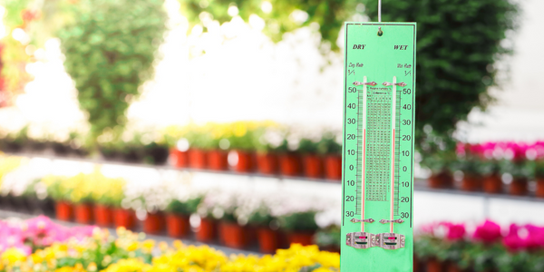  Precision beekeeping with wireless temperature monitoring - IoT ONE Case Study