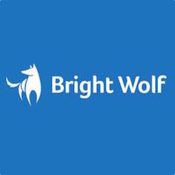 Bright Wolf Strandz Enterprise IoT Application Platform
