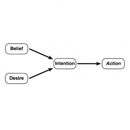 Belief-Desire-Intention software model