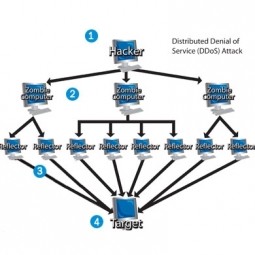 Distributed Denial of Service Attack