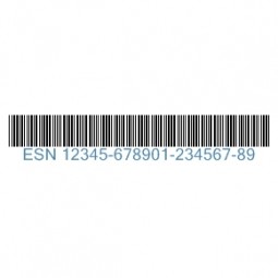 Electronic Serial Number