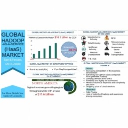 Hadoop as a Service