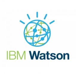 IBM Watson (IBM) Logo